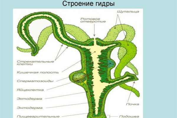 Bs официальный сайт